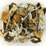Full Moon Party | Organic Shroom Canada