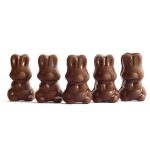 Alice - Mushroom Milk Chocolate - 2.5g | Organic Shroom Canada
