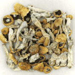 Orissa | Organic Shroom Canada