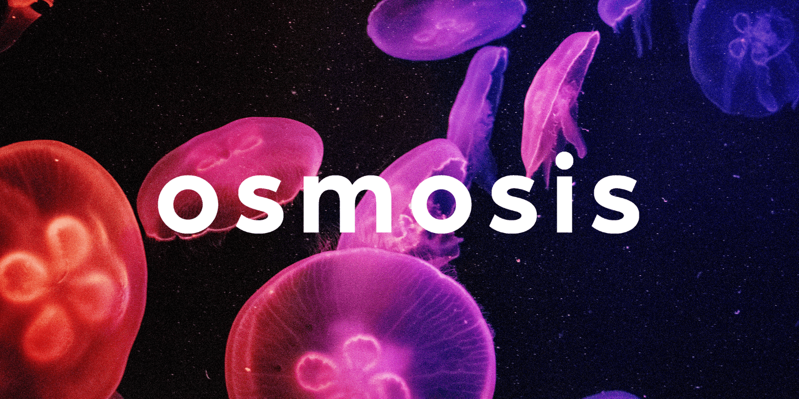 Zoomies osmosis banner | Organic Shroom Canada