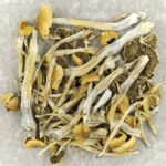 Trinity | Organic Shroom Canada