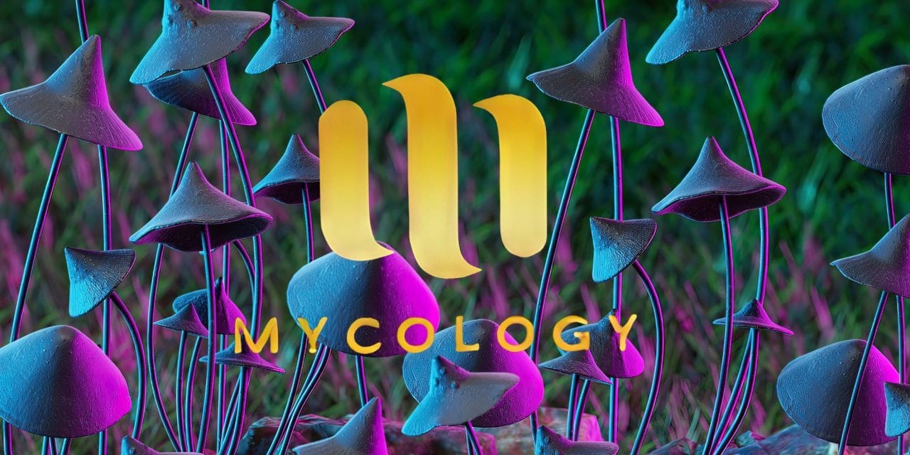 Zoomies Summer 2023 Banner - Mycology | Organic Shroom Canada