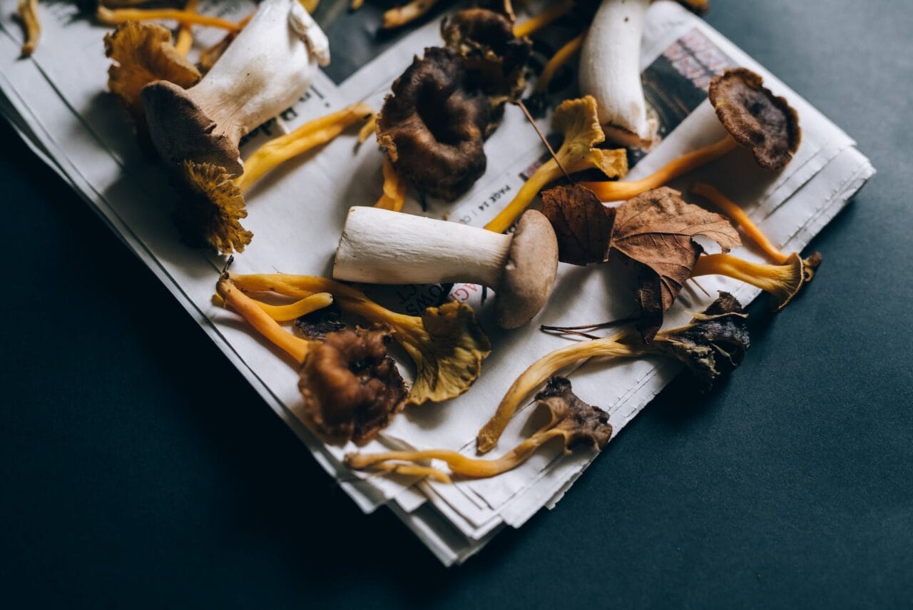 Is Chocolate a Good Match for Mushrooms?