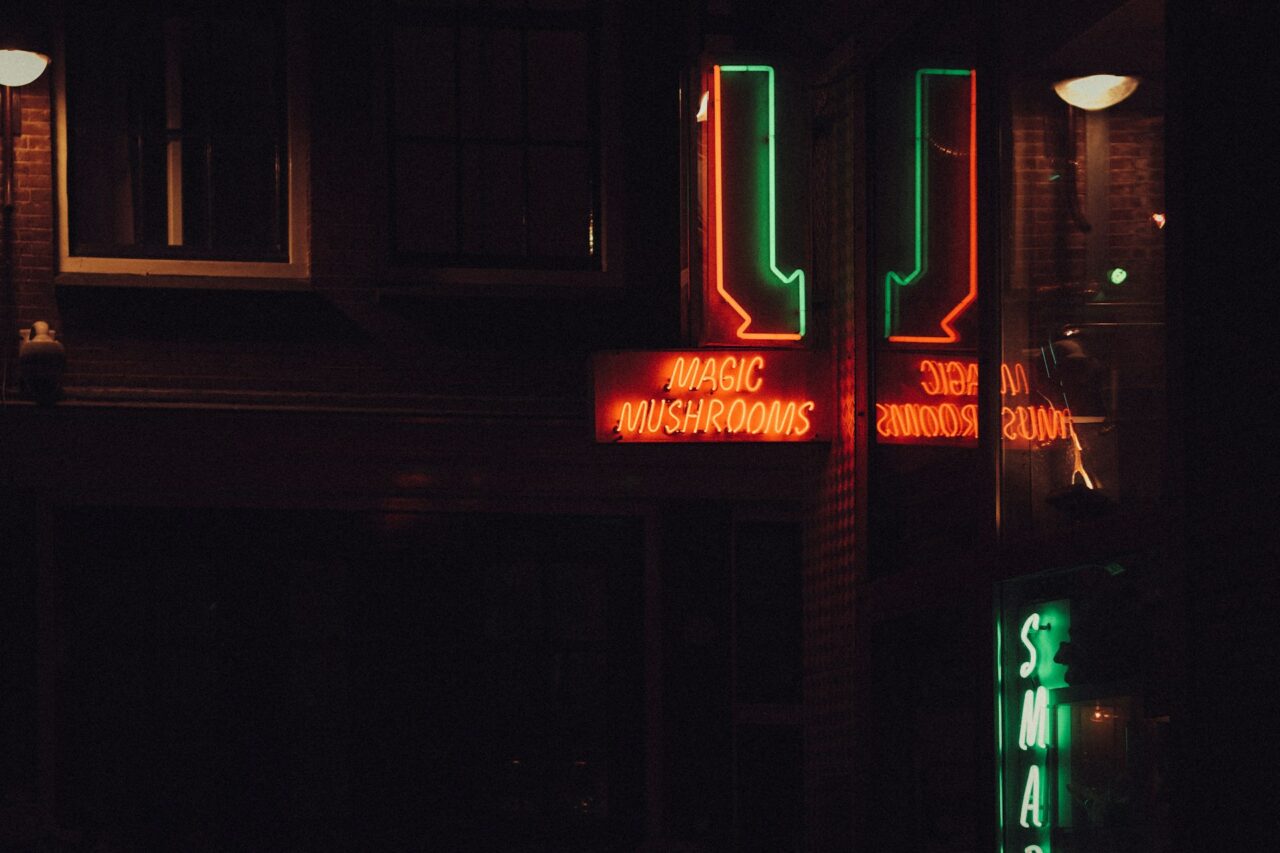 Vancouver’s Mushroom Dispensary – How is Canada Keeping Pace with the US Mushroom Surge?